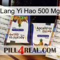 Lang Yi Hao 500 Mg 12